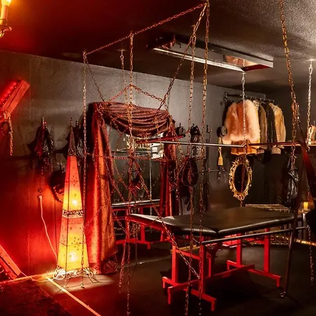 Theblackkingdom Freiburg im Breisgau